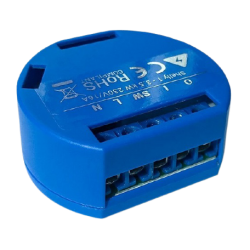 SHELLY-14042021A-removebg-preview